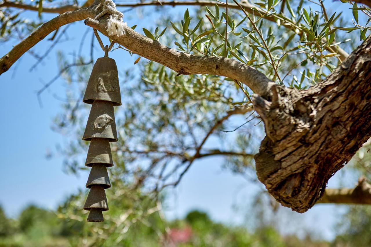 Finca La Salve Pollença Kültér fotó